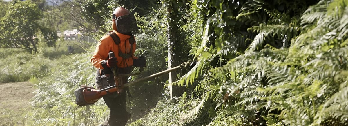 Ameneiro Xestión Forestal